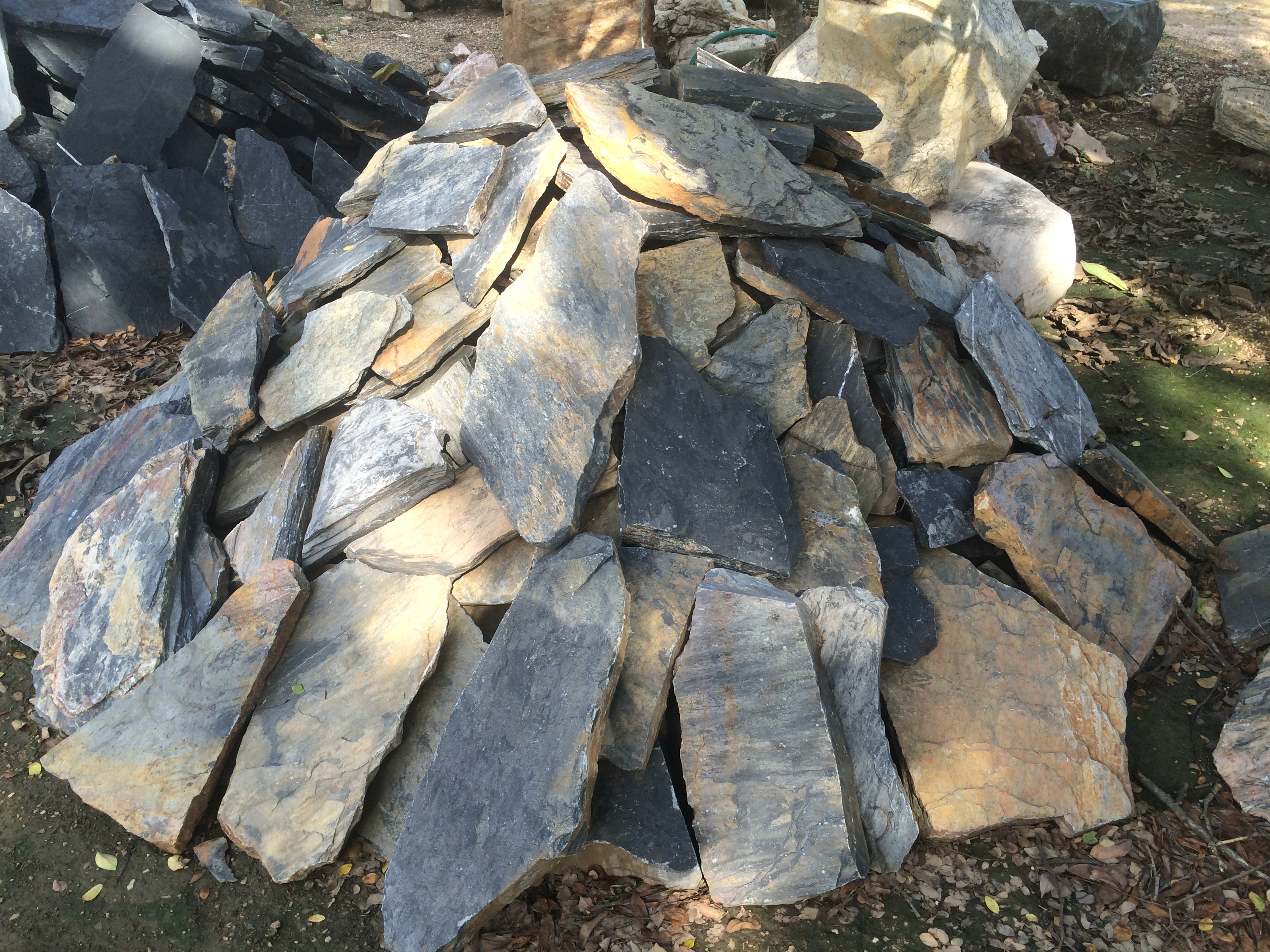 หินกาบดำเหลือง