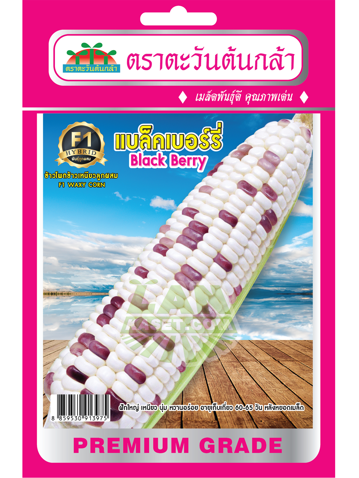 H43 เมล็ดพันธุ์ข้าวโพดลูกผสม แบล็คเบอร์รี่