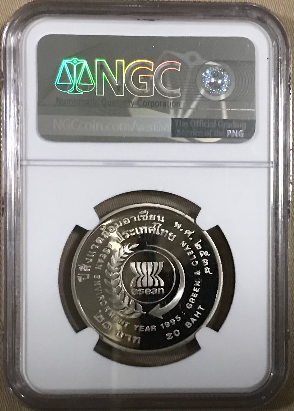 ปีสิ่งแวดล้อมอาเซี่ยน