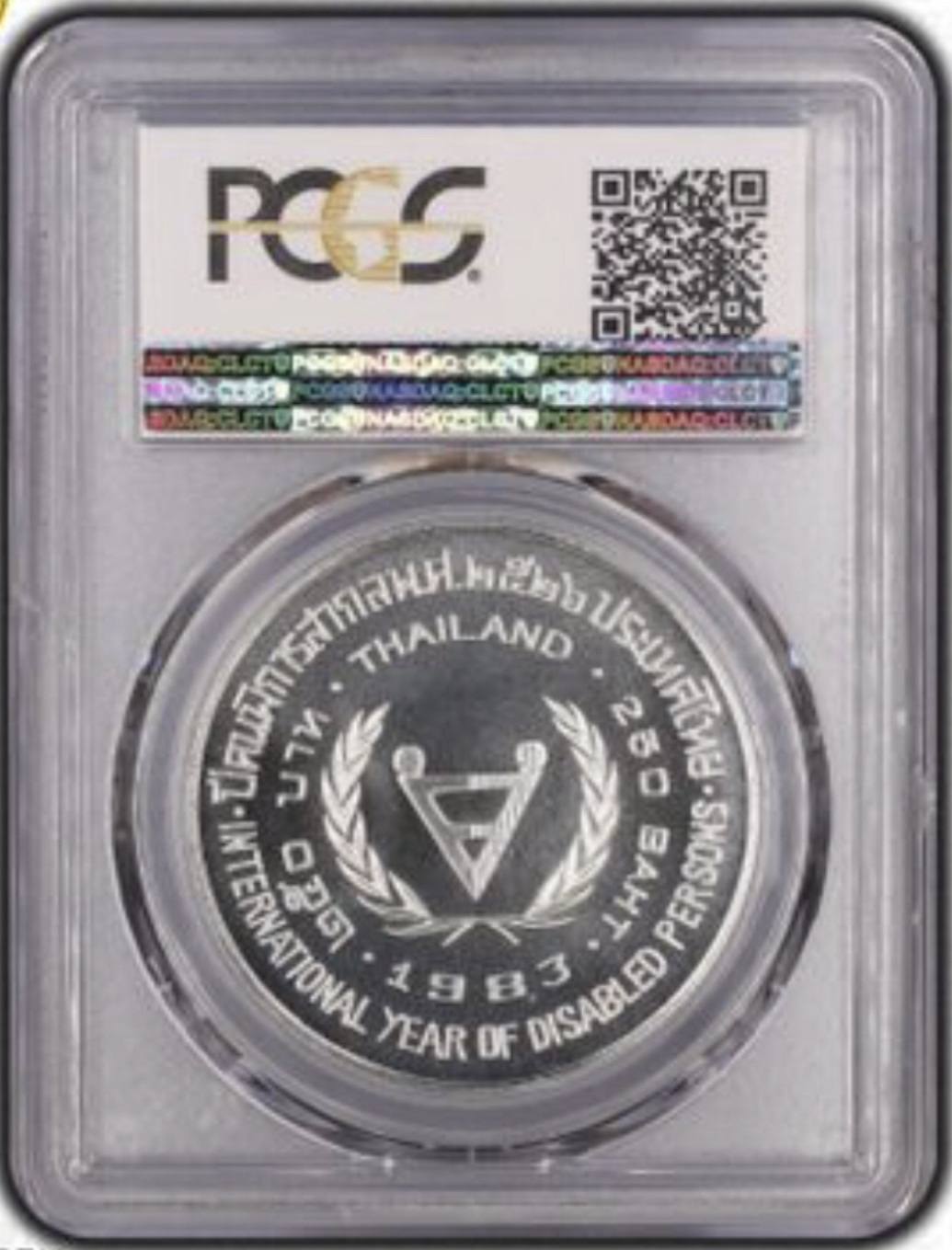 ปีคนพิการสากล