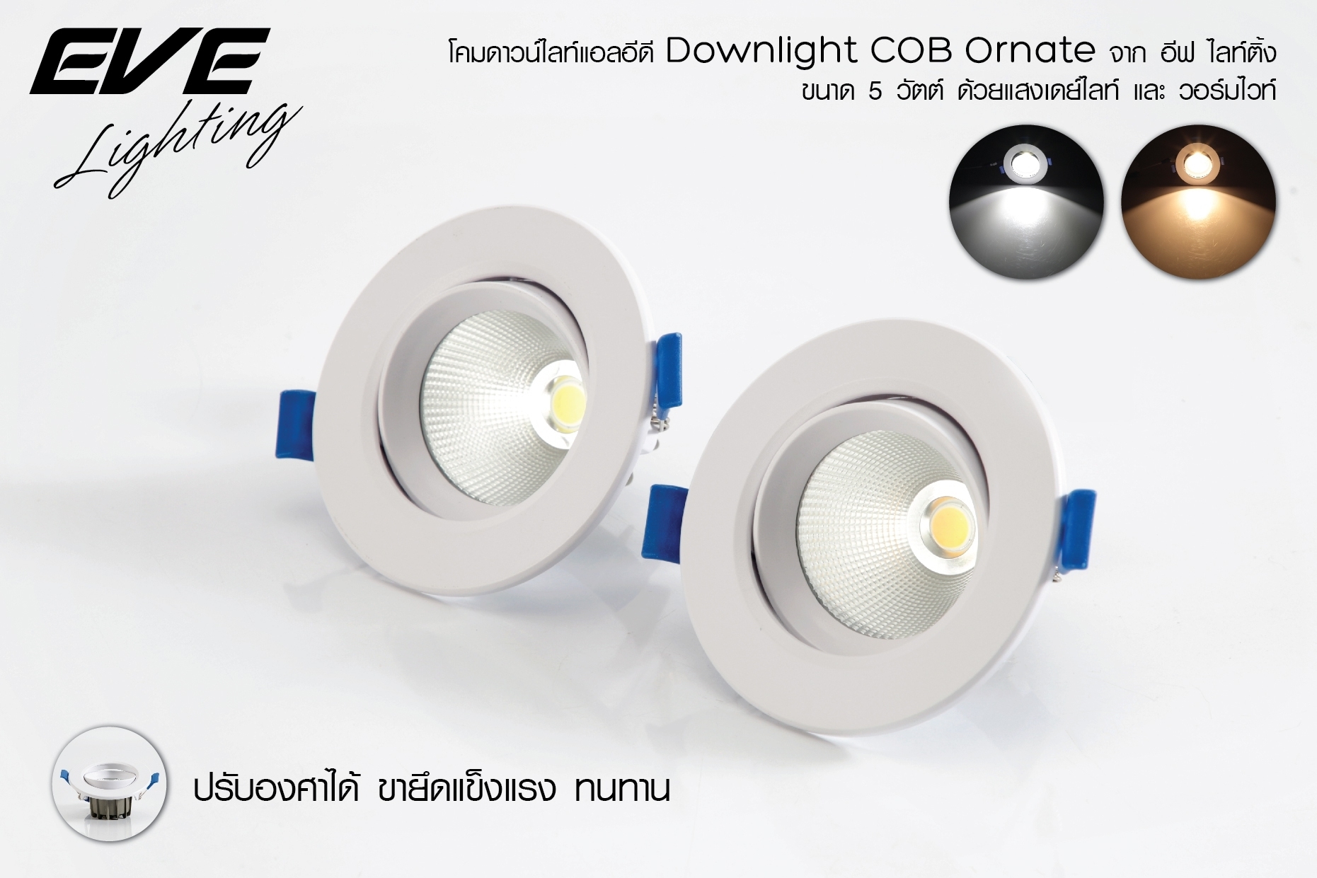 LED Downlight COB Adjust Angle 5W Daylight