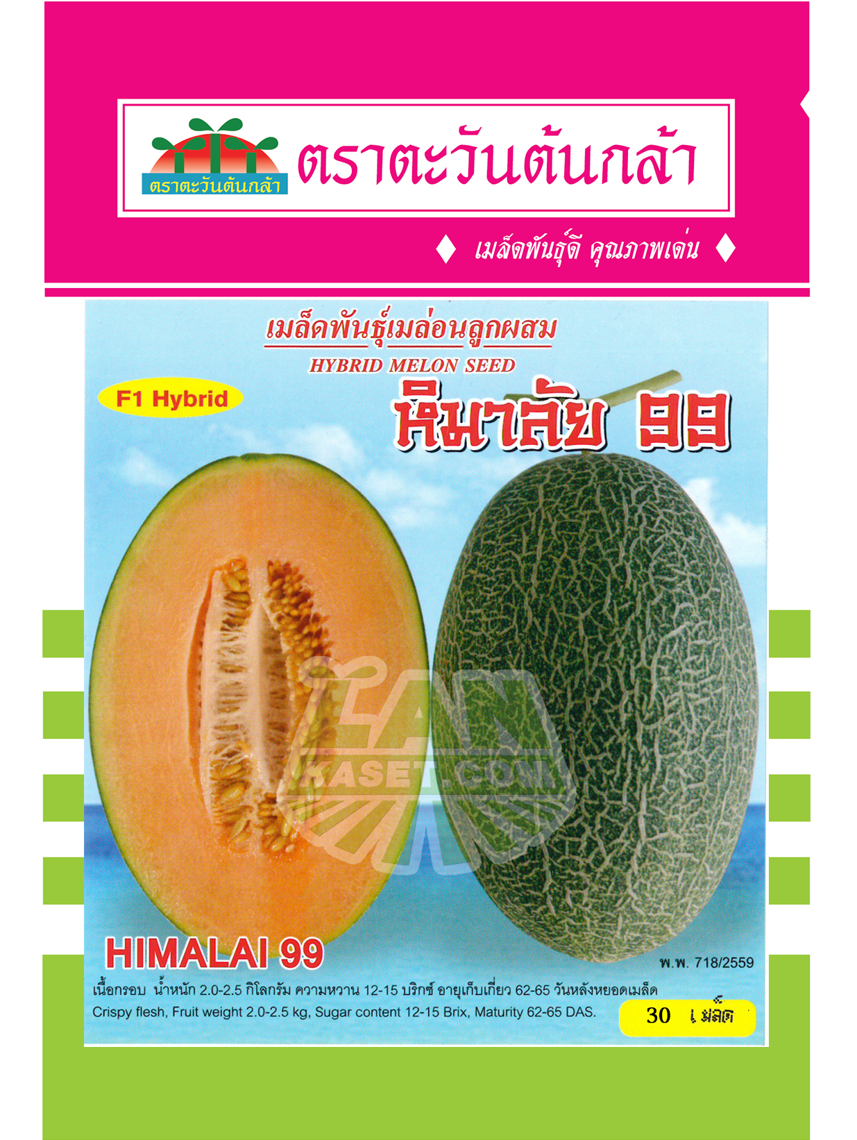 เมล่อน หิมาลัย 99 (30เมล็ด)