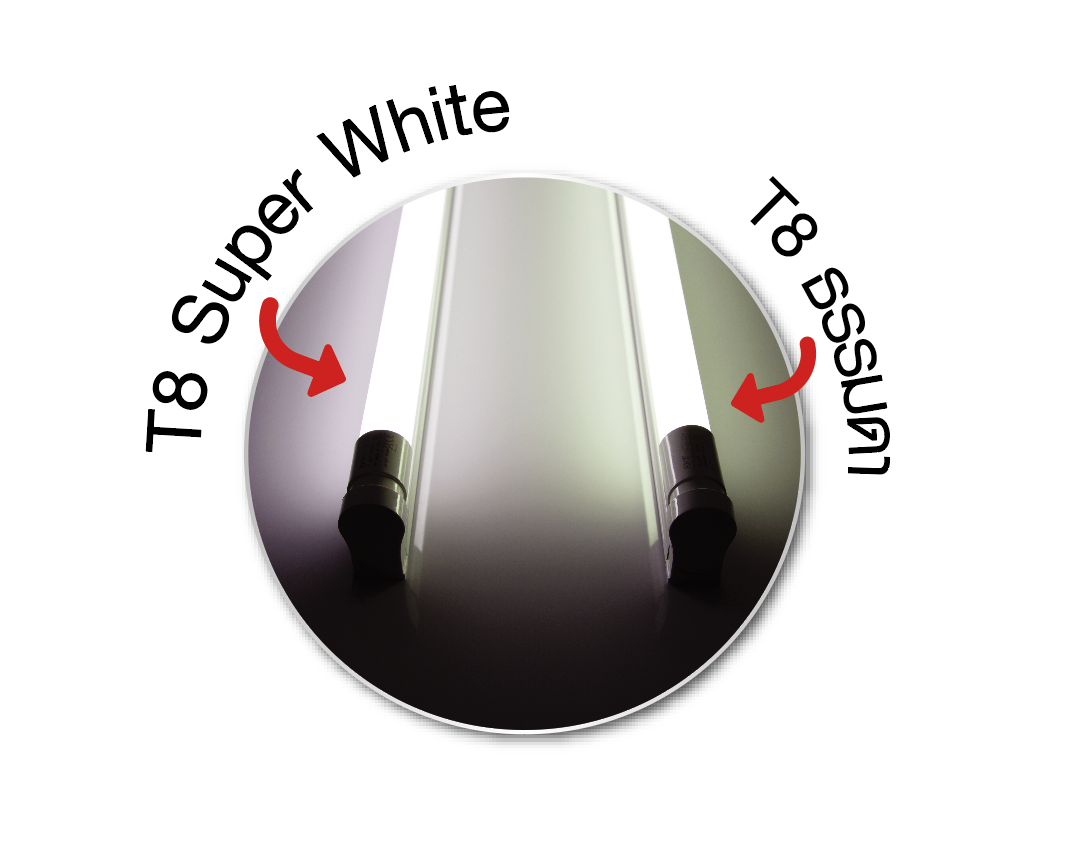 LED T8 Super White หลอดแอลอีดี T8 ซุปเปอร์ไวท์ แสงขาวกว่าหลอดทั่วไป