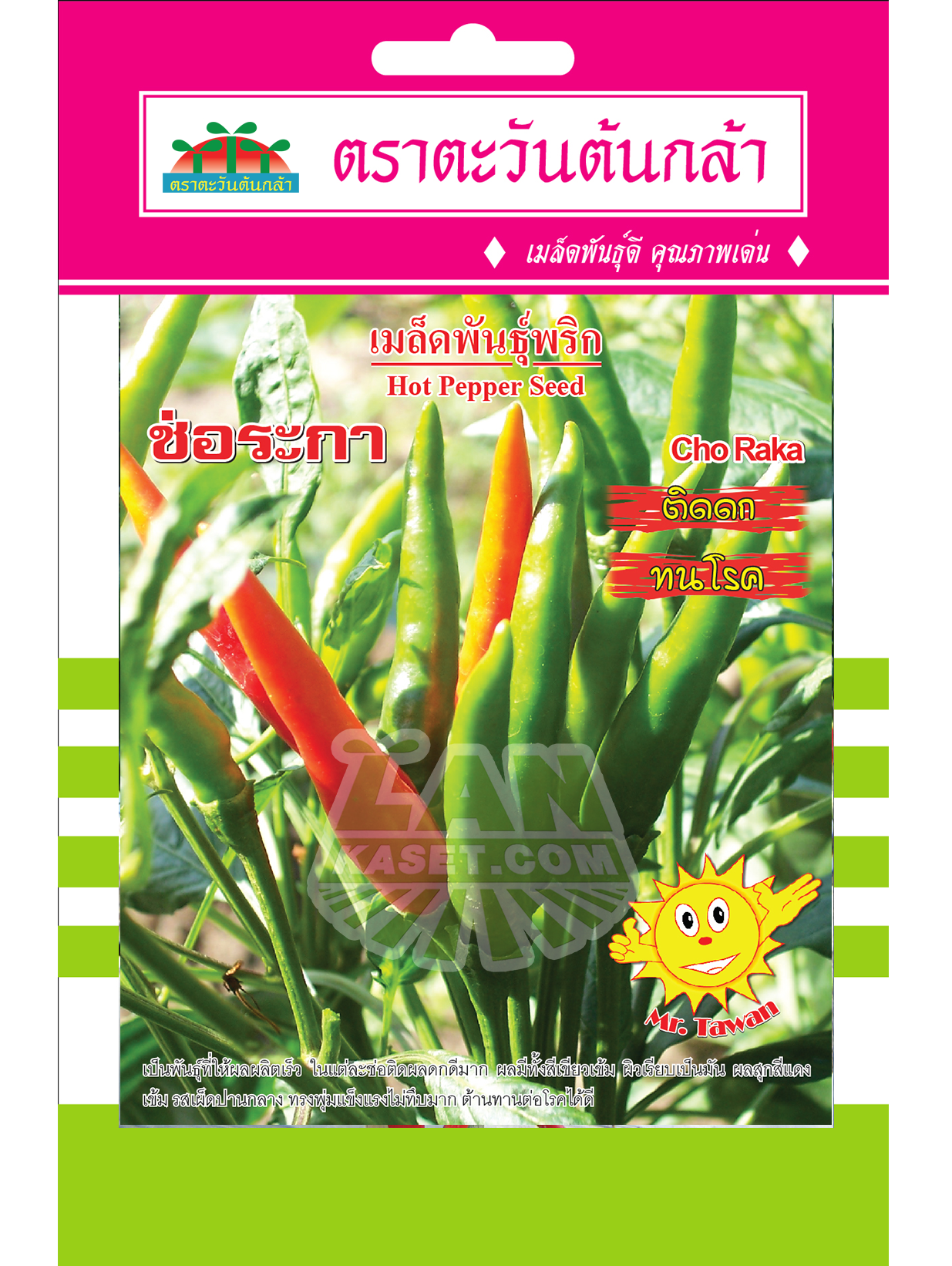 V51 เมล็ดพันธุ์พริก ช่อระกา