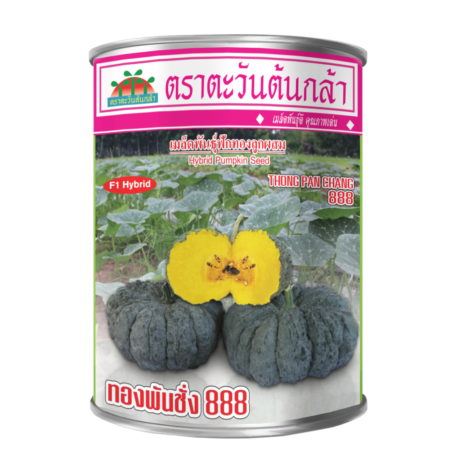 ฟักทองลูกผสม ทองพันชั่ง 888 (50กรัม)