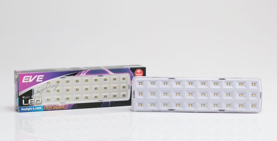 LED wallmount emer square 2w Daylight ไฟฉุกเฉินแอลอีดีขนาด 2 วัตต์