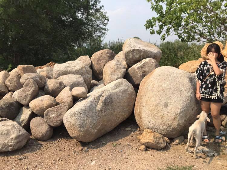 หินแกรนิต(ไข่นกกระทา)