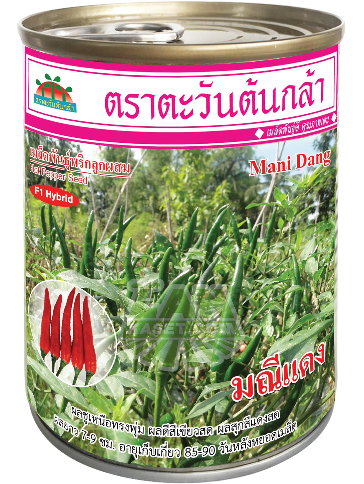 พริกขี้หนูลูกผสม มณีแดง (50 กรัม)