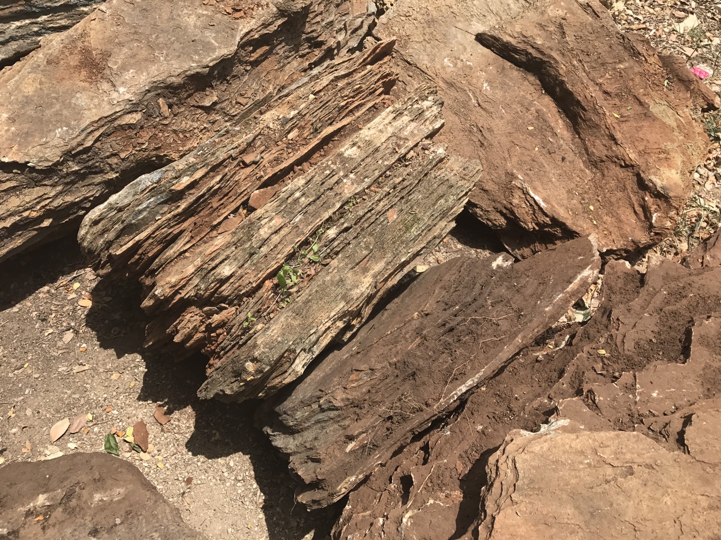 หินชั้นภูเขา