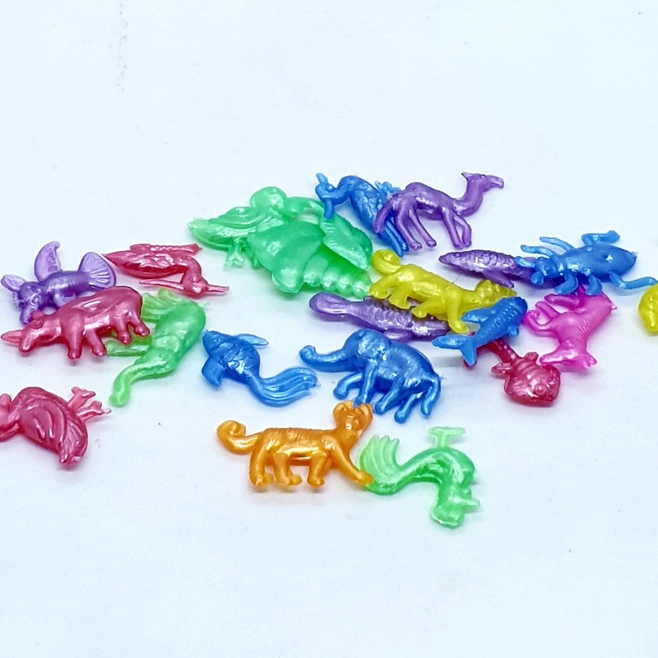 ตัวสัตว์มุกสี