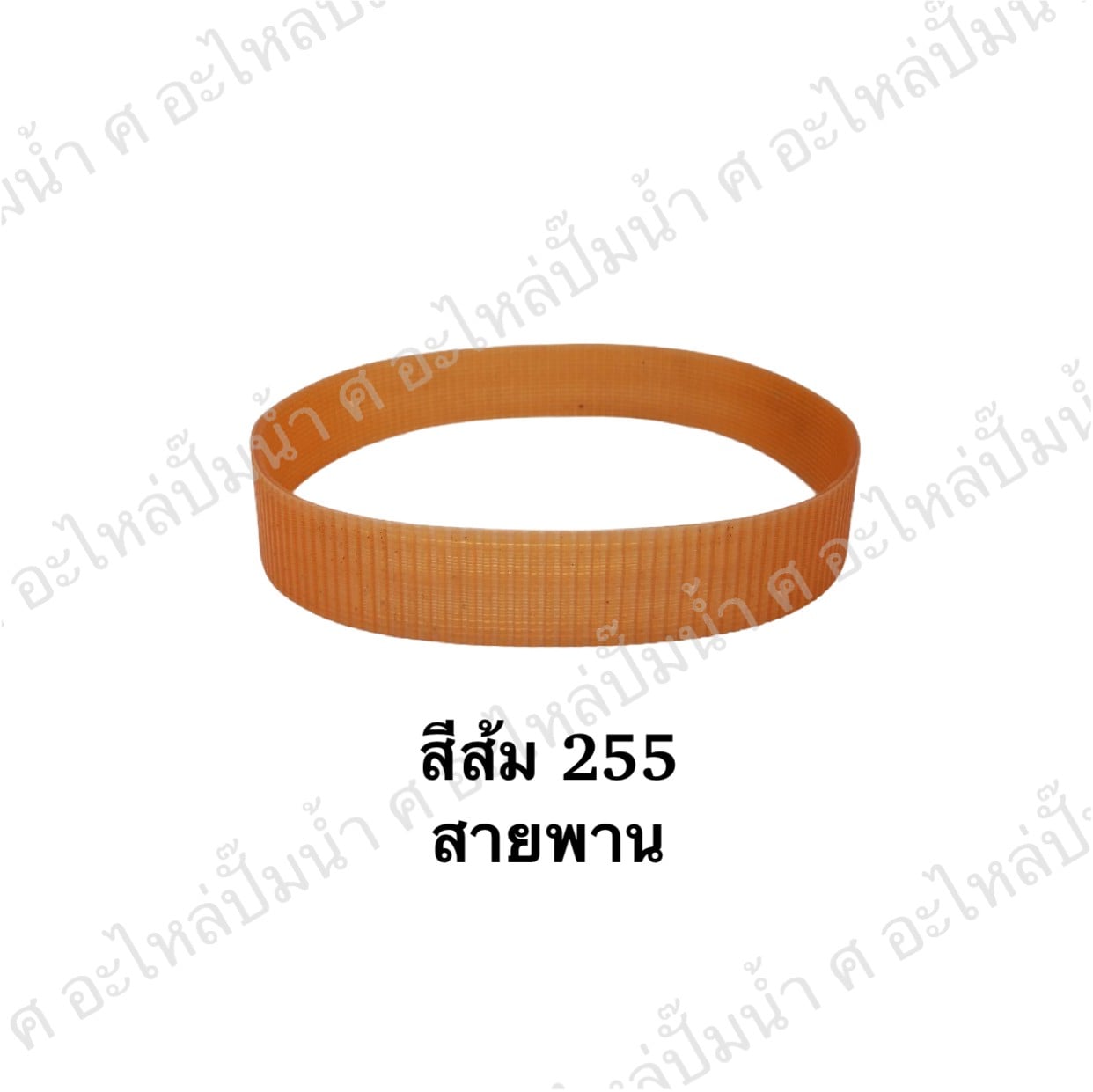 สายพานสีส้ม 255
