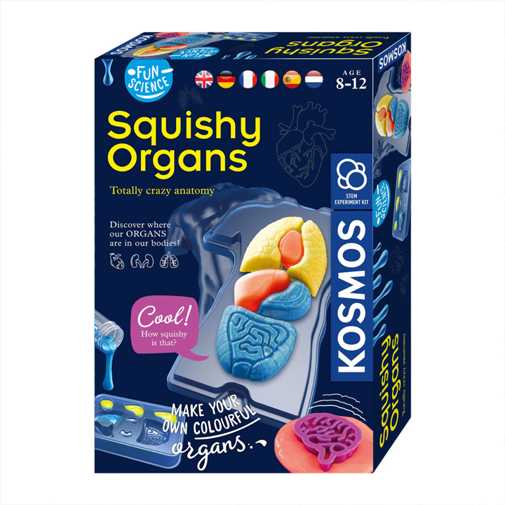 [STEM] Science - Squishy Organs