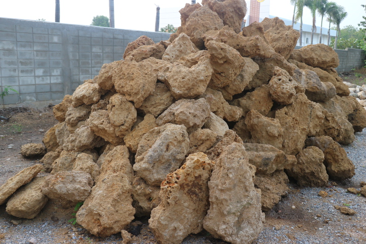 หินฟองน้ำ