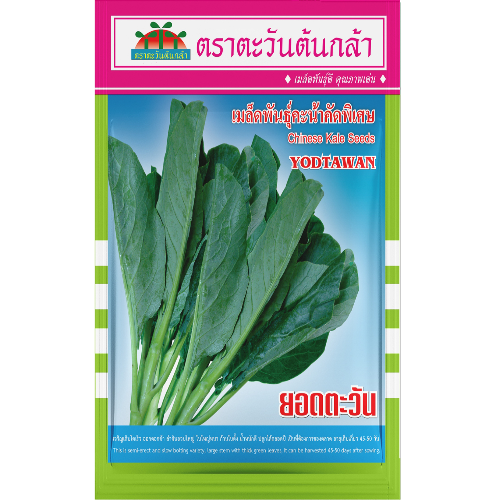 คะน้า ยอดตะวัน (500กรัม)