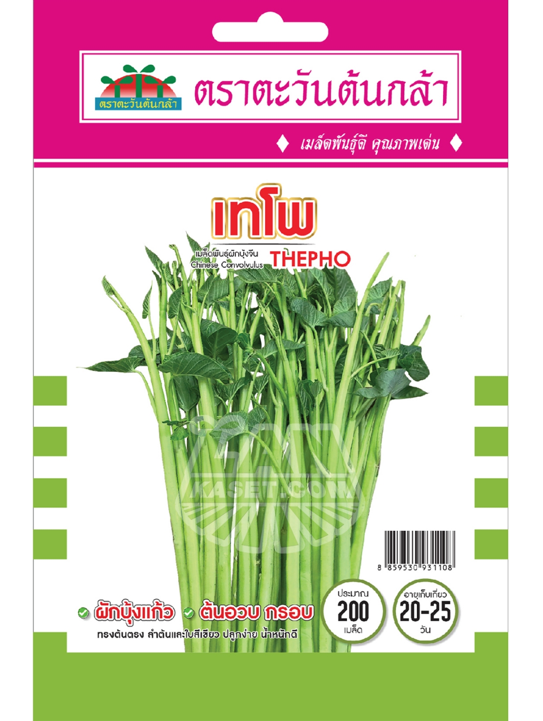 V87 เมล็ดพันธุ์ผักบุ้งจีน เทโพ