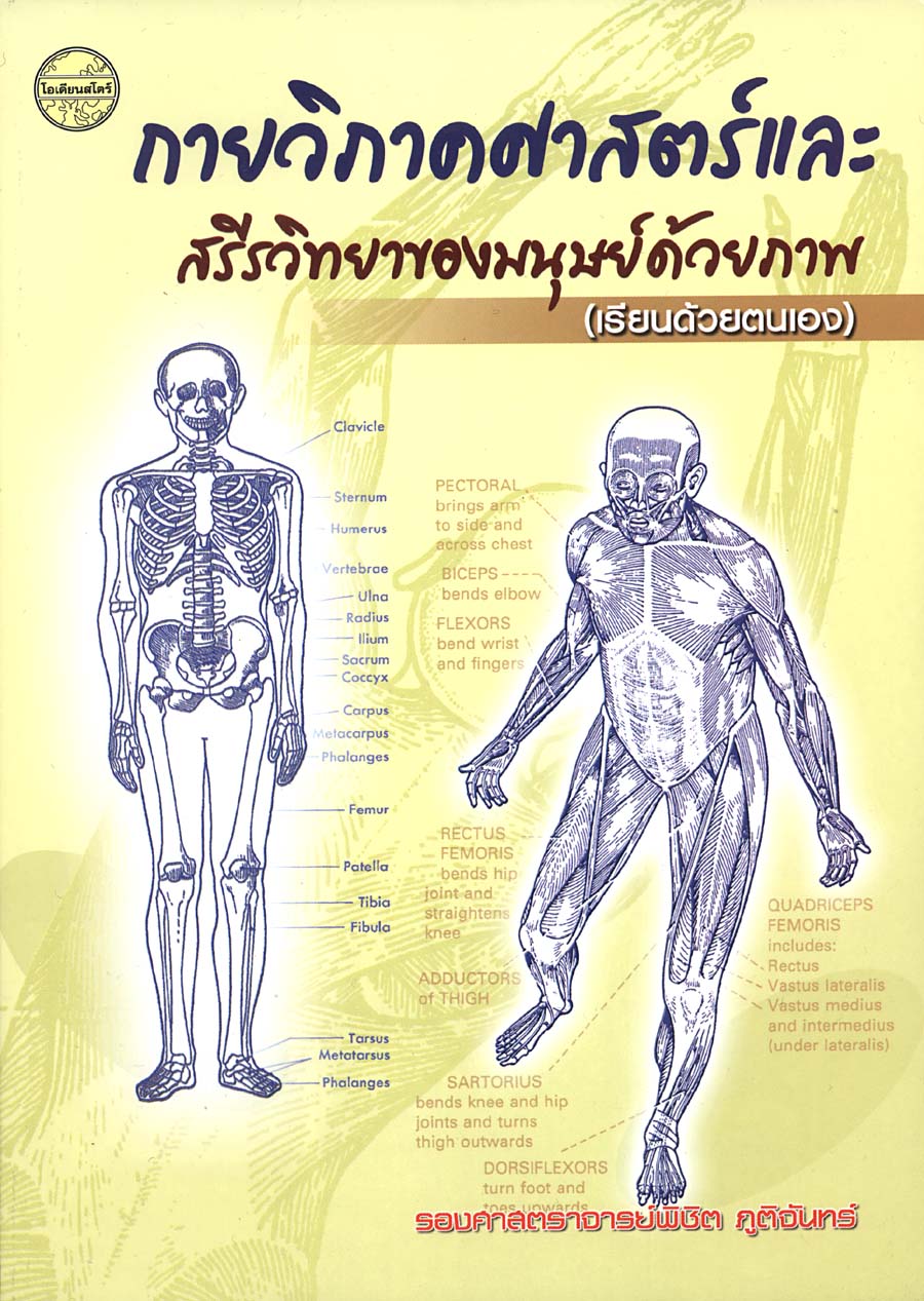 กายวิภาคศาสตร์และสรีรวิทยาของมนุษย์ด้วยภาพ (เรียนด้วยตนเอง)