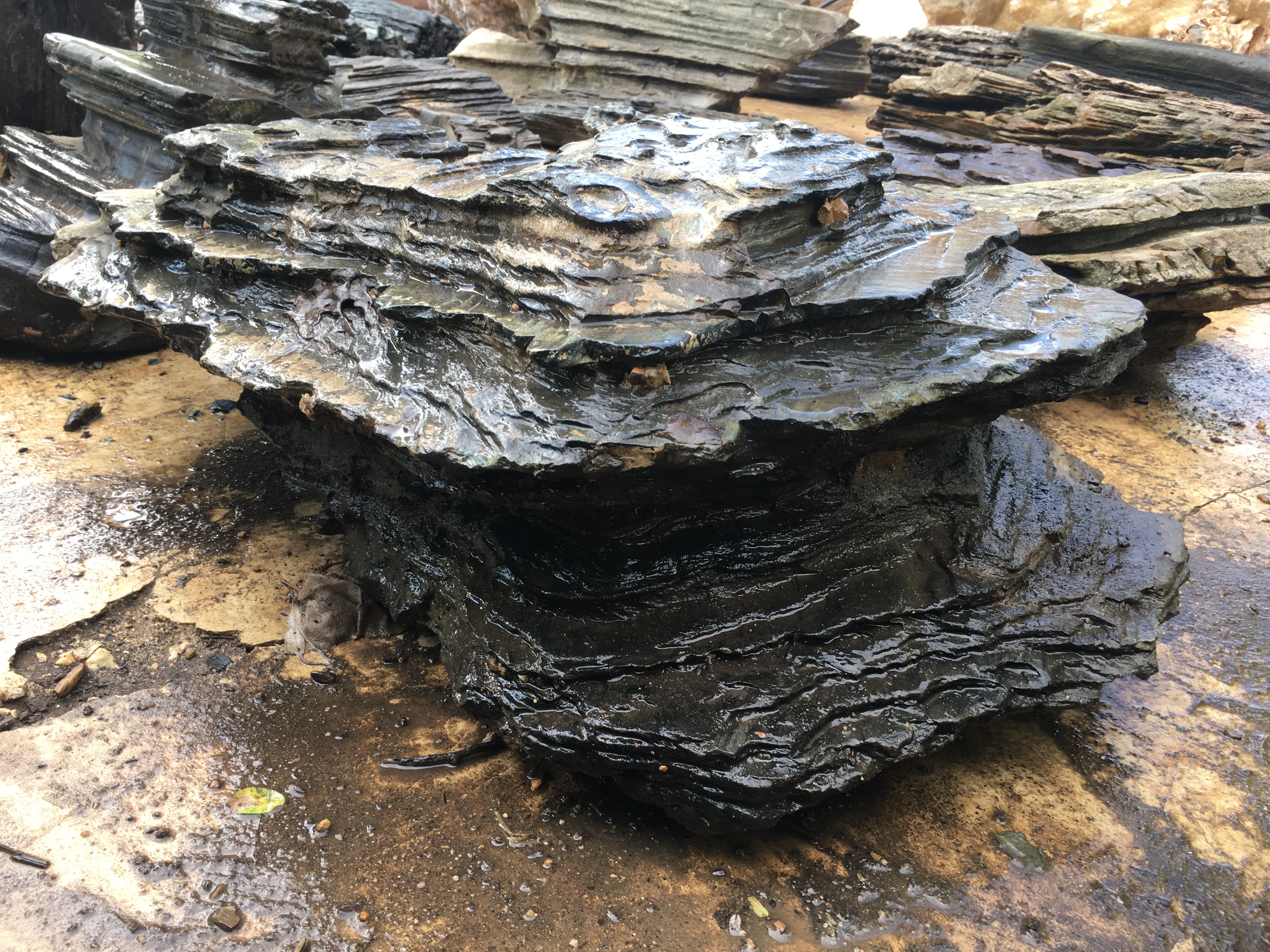 หินชั้นแม่น้ำ