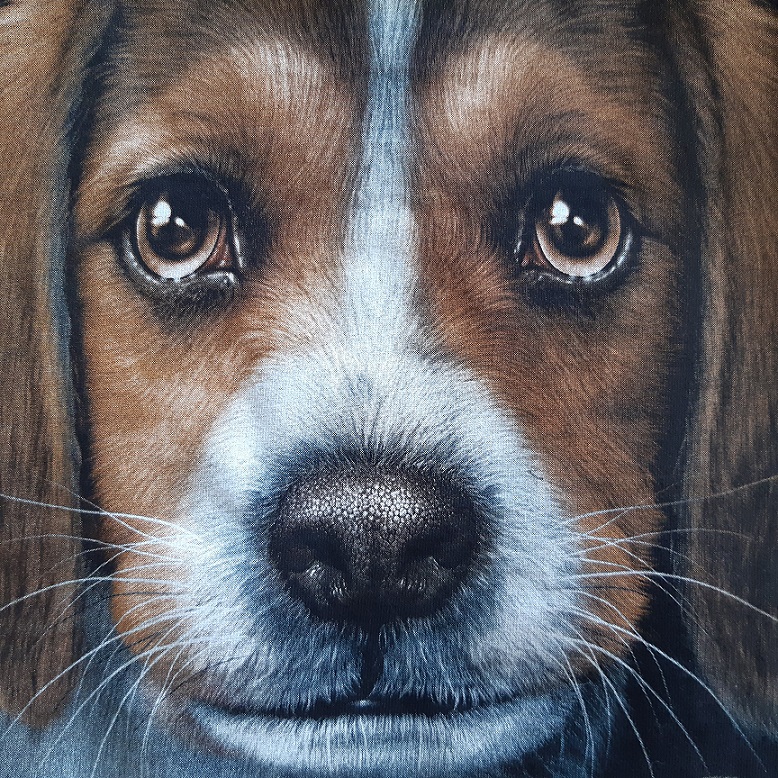 เสื้อกล้ามสีดำลายน้องหมาบีเกิล หลังตาข่ายซีทรู