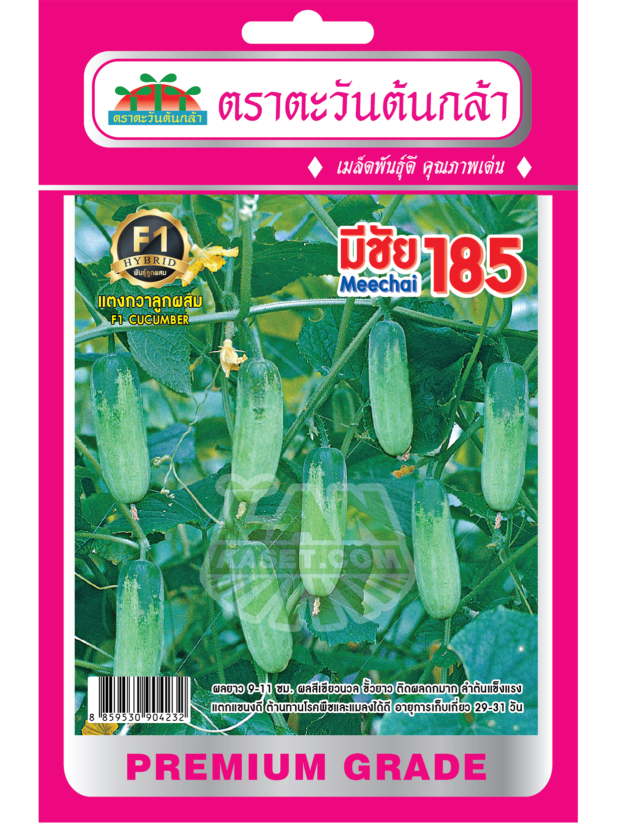 H7 แตงกวาลูกผสม มีชัย 185
