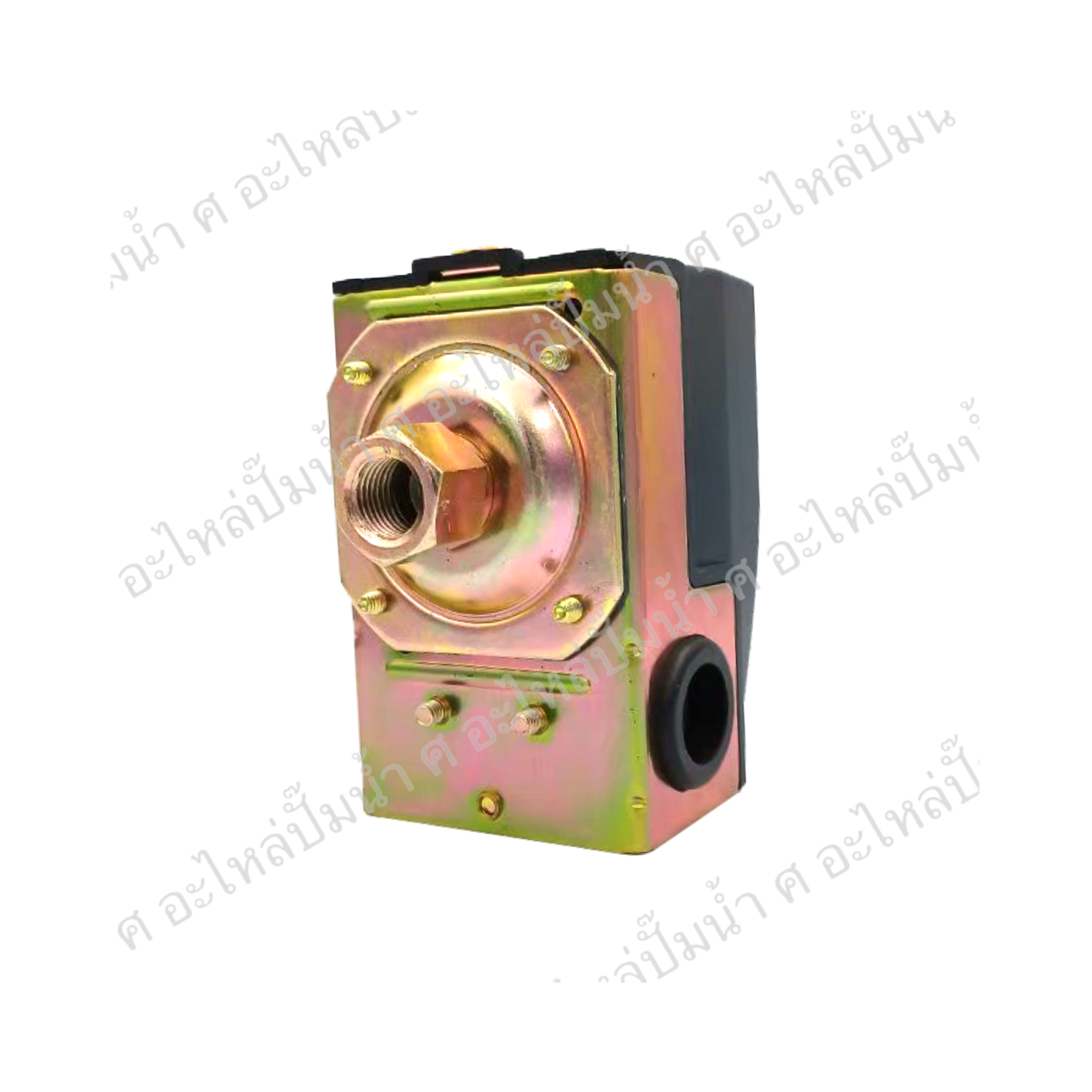 PC 5-70-100 PSI เกลียวใน
