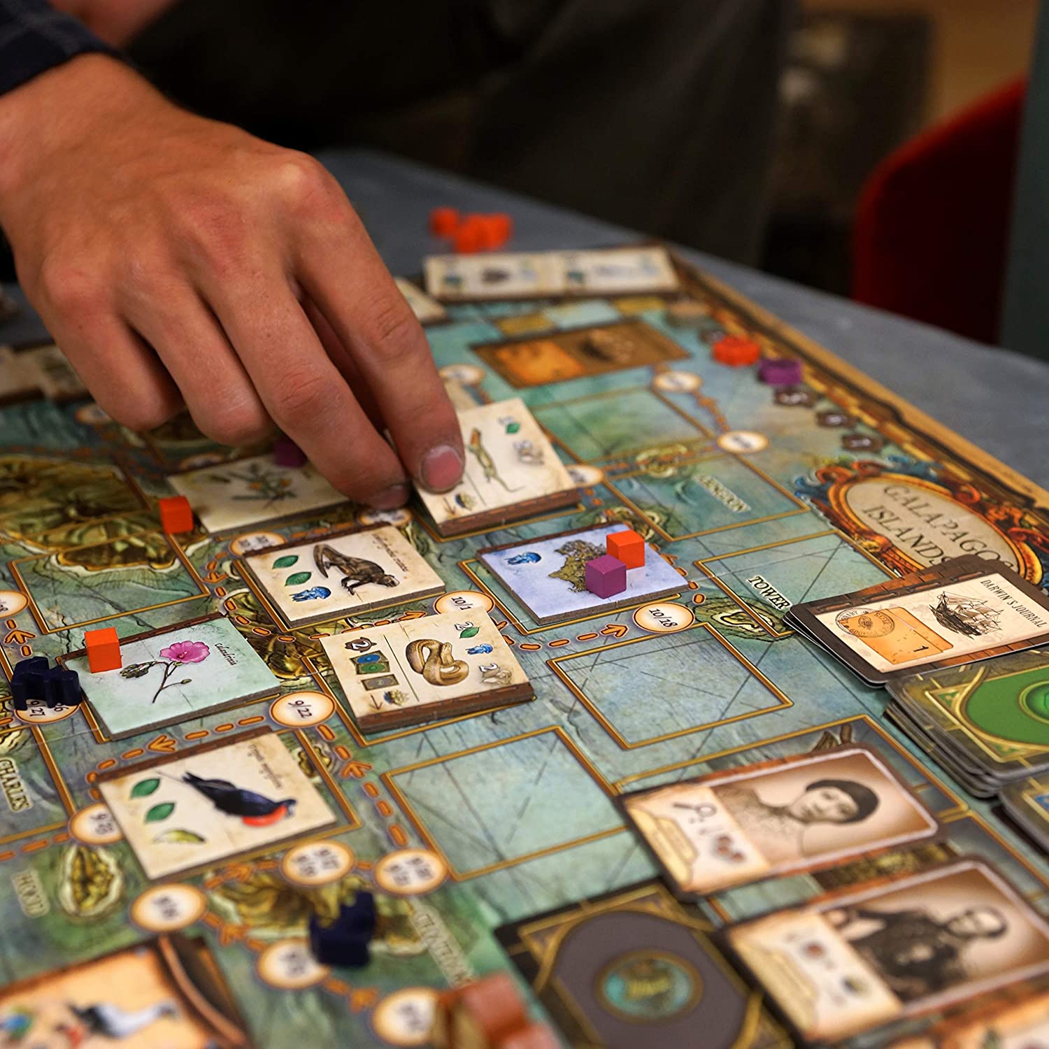 On the Origin of Species