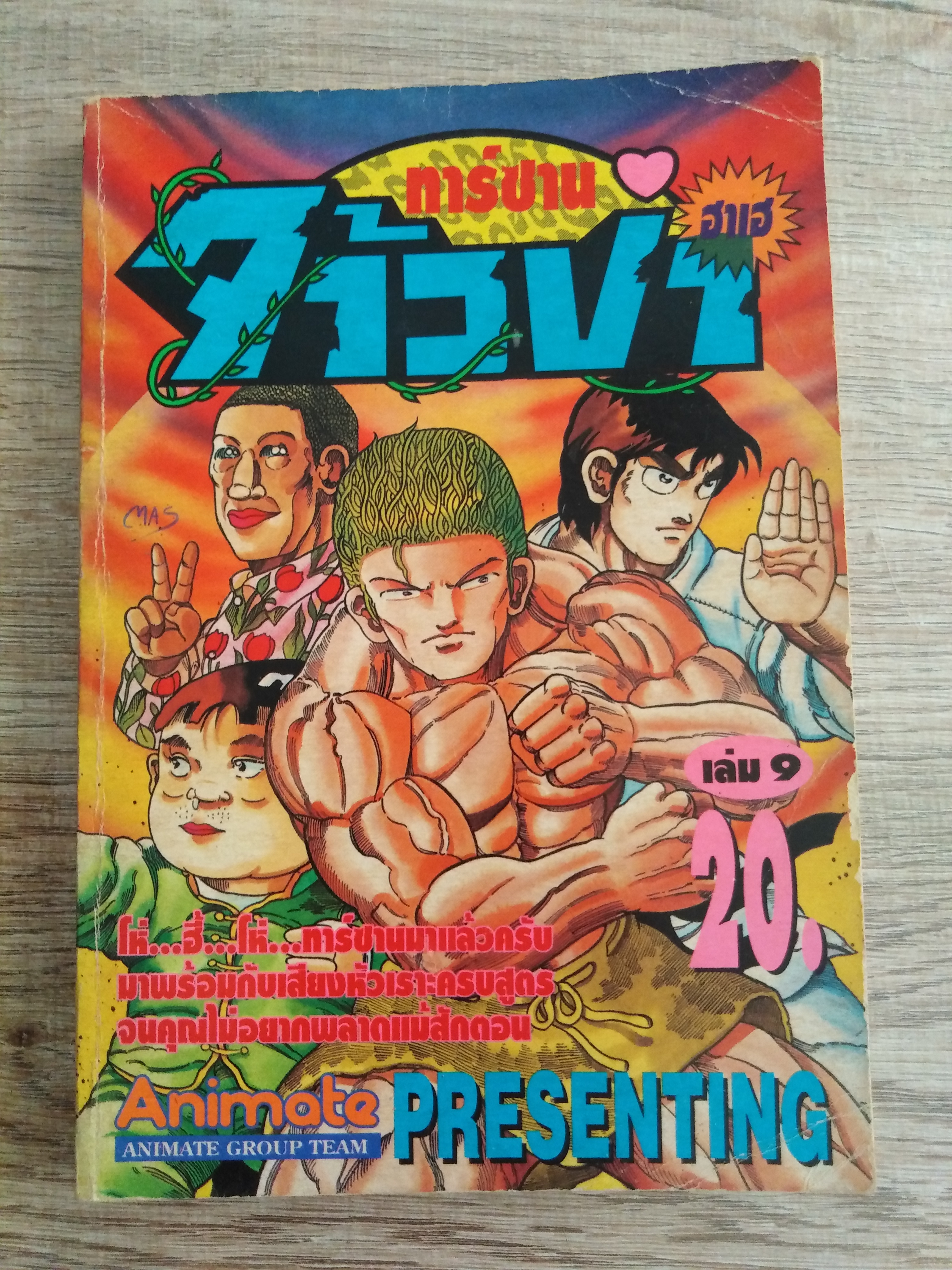 ทาร์ซาน เจ้าป่า ฮาเฮ เล่ม 9