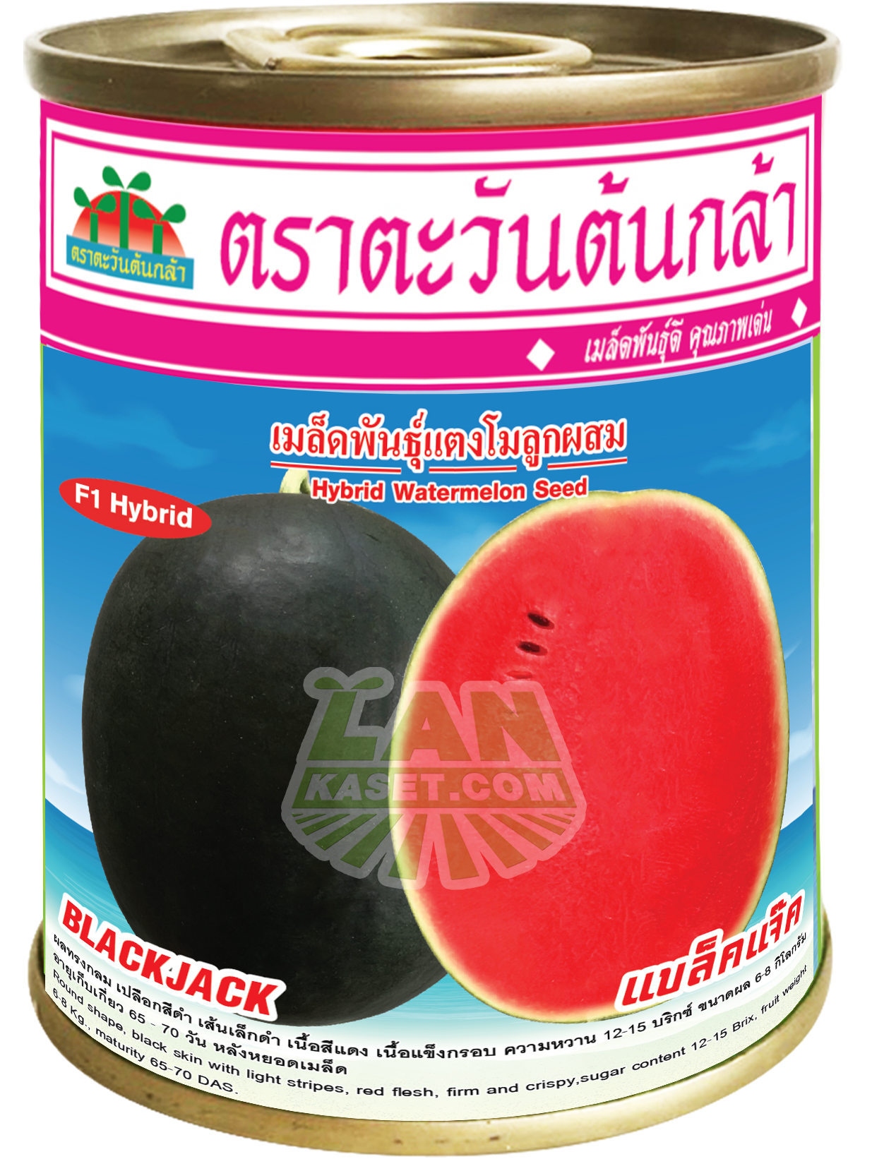 แตงโมลูกผสม แบล็คแจ็ค (40กรัม)