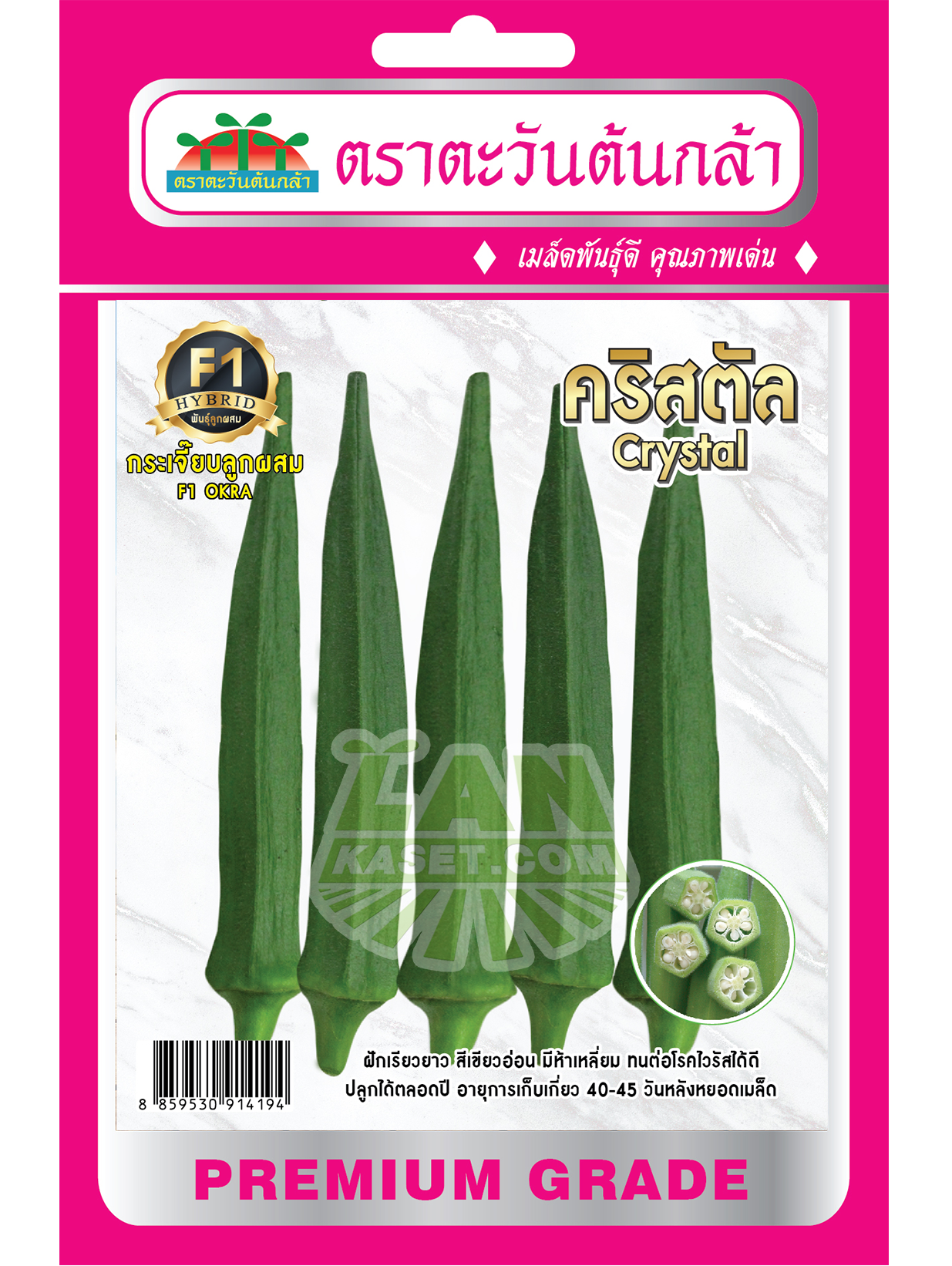 H39 เมล็ดพันธุ์กระเจี๊ยบเขียวลูกผสม คริสตัล