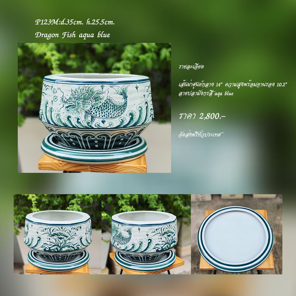 กระถางพร้อมถาดรอง P123M ลายปลามังกร สี aqua blue