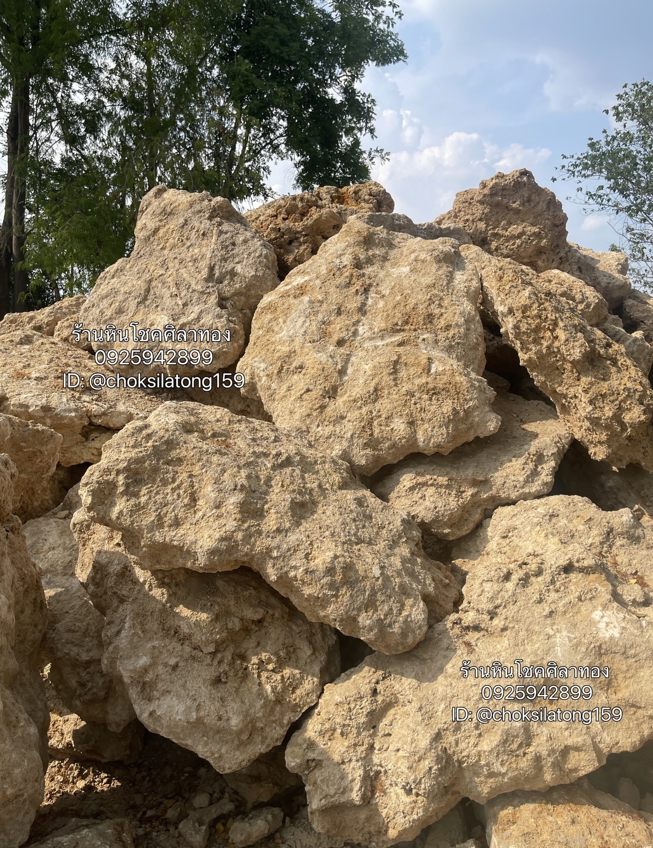 หินฟองน้ำ