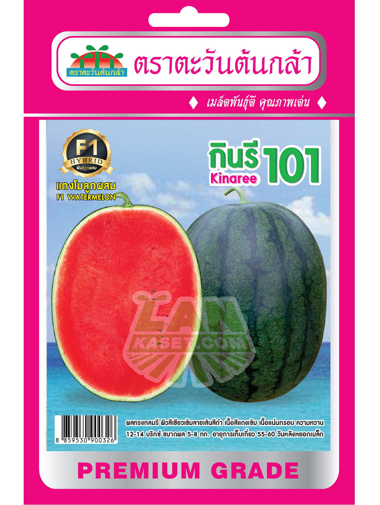 H35 เมล็ดพันธุ์แตงโม กินรี 101
