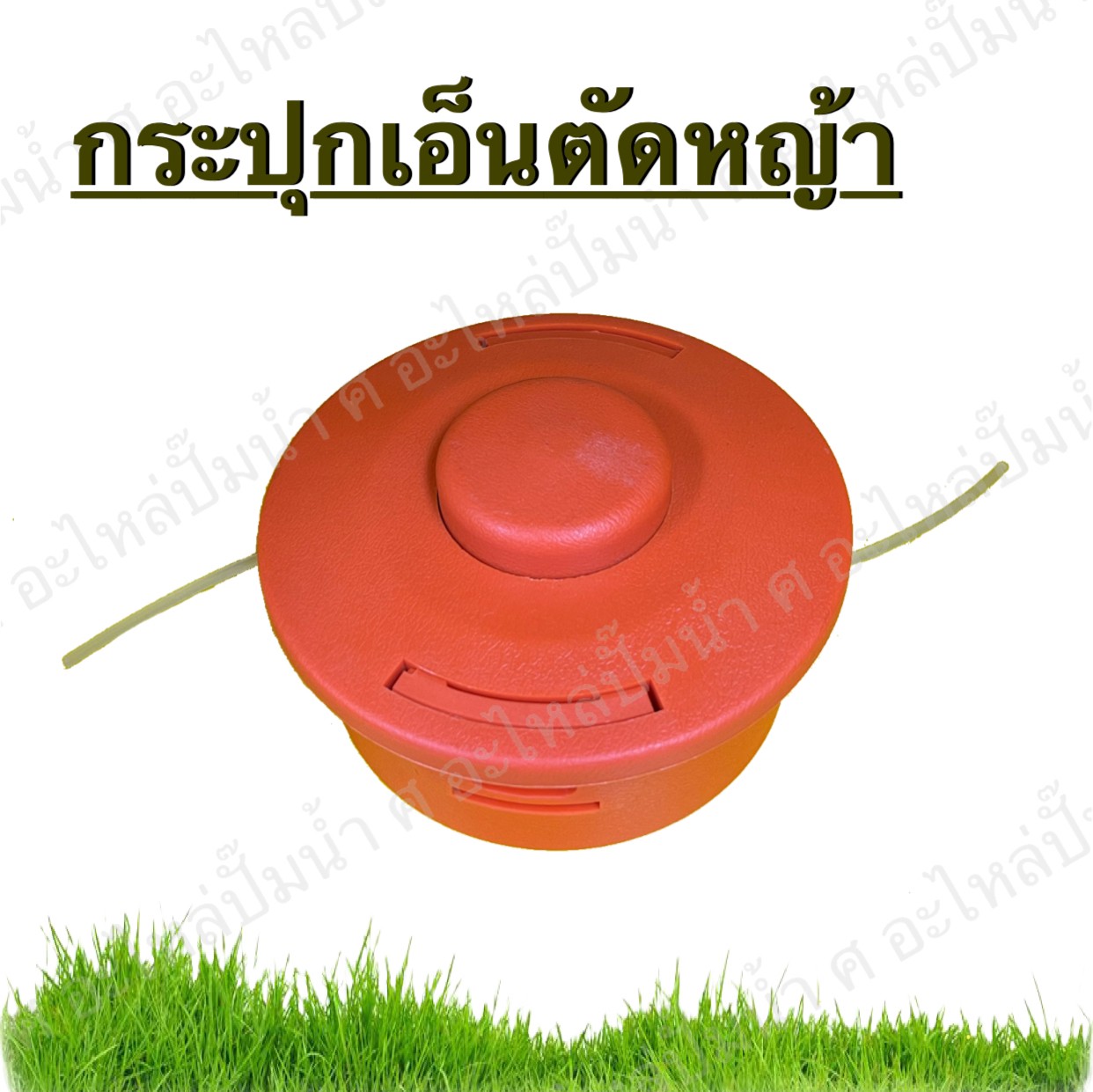 กระปุกเอ็นตัดหญ้า 1.25 (ละเอียด10มิล)