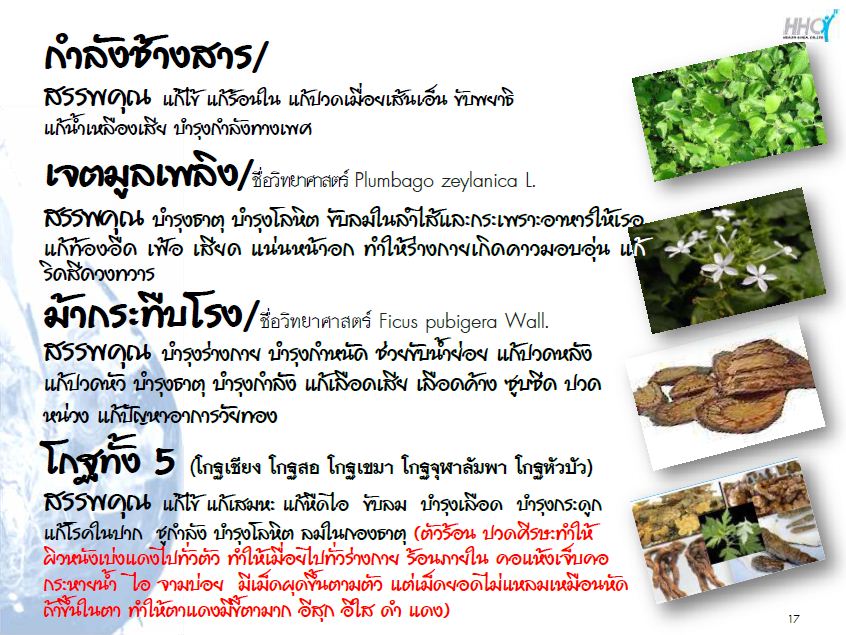 ยาน้ำสมุนไพรพระยาทอง บำรุงโลหิต ทางเลือกที่ดีกว่าของผู้รักสุขภาพ