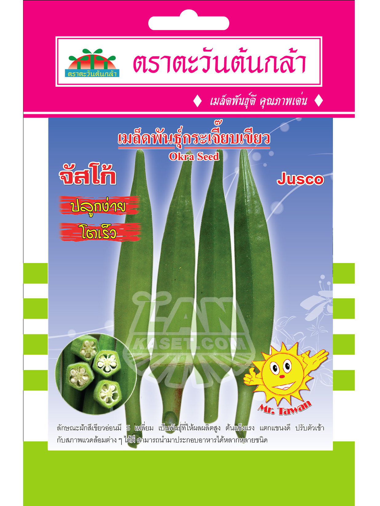 V31 เมล็ดพันธุ์ กระเจี๊ยบเขียวจัสโก้