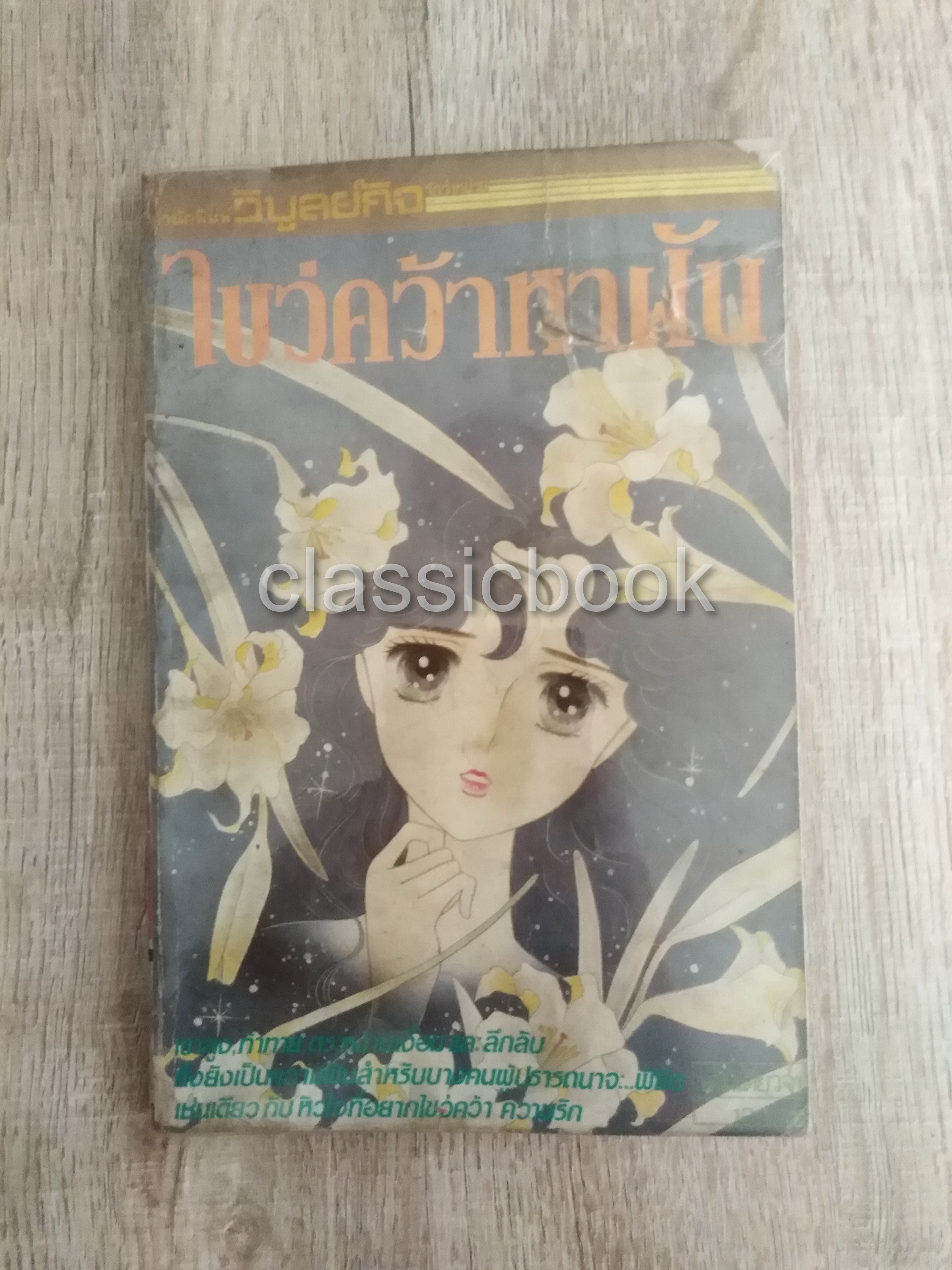ไขว่คว้าหาฝัน ( เล่มเดียวจบ)