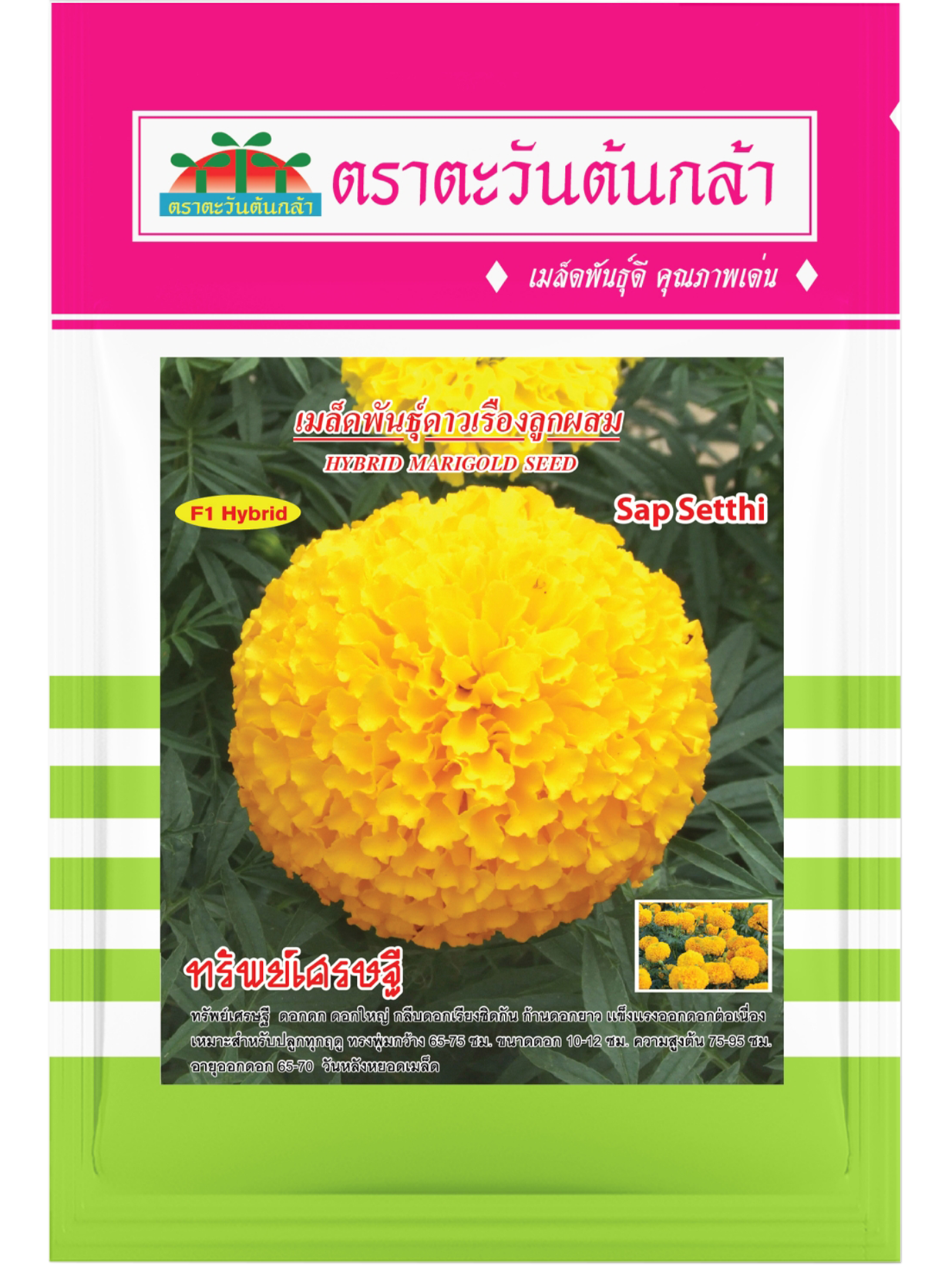 ดาวเรืองทรัพย์เศรษฐี (1000เมล็ด)