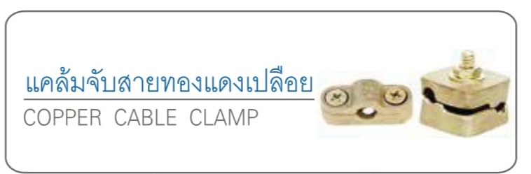 แคล้มจับสายทองแดงเปลือย