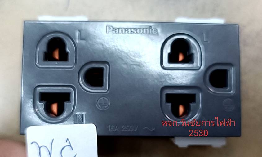 Panasonic ปลักไฟคู่ 3ขา สีดำ เต้ารับคู่มีกราวด์ WEG15929H Metallic Gray สีเทาดำ พานาโซนิค ปลั๊กกราวด์คู่ดำ