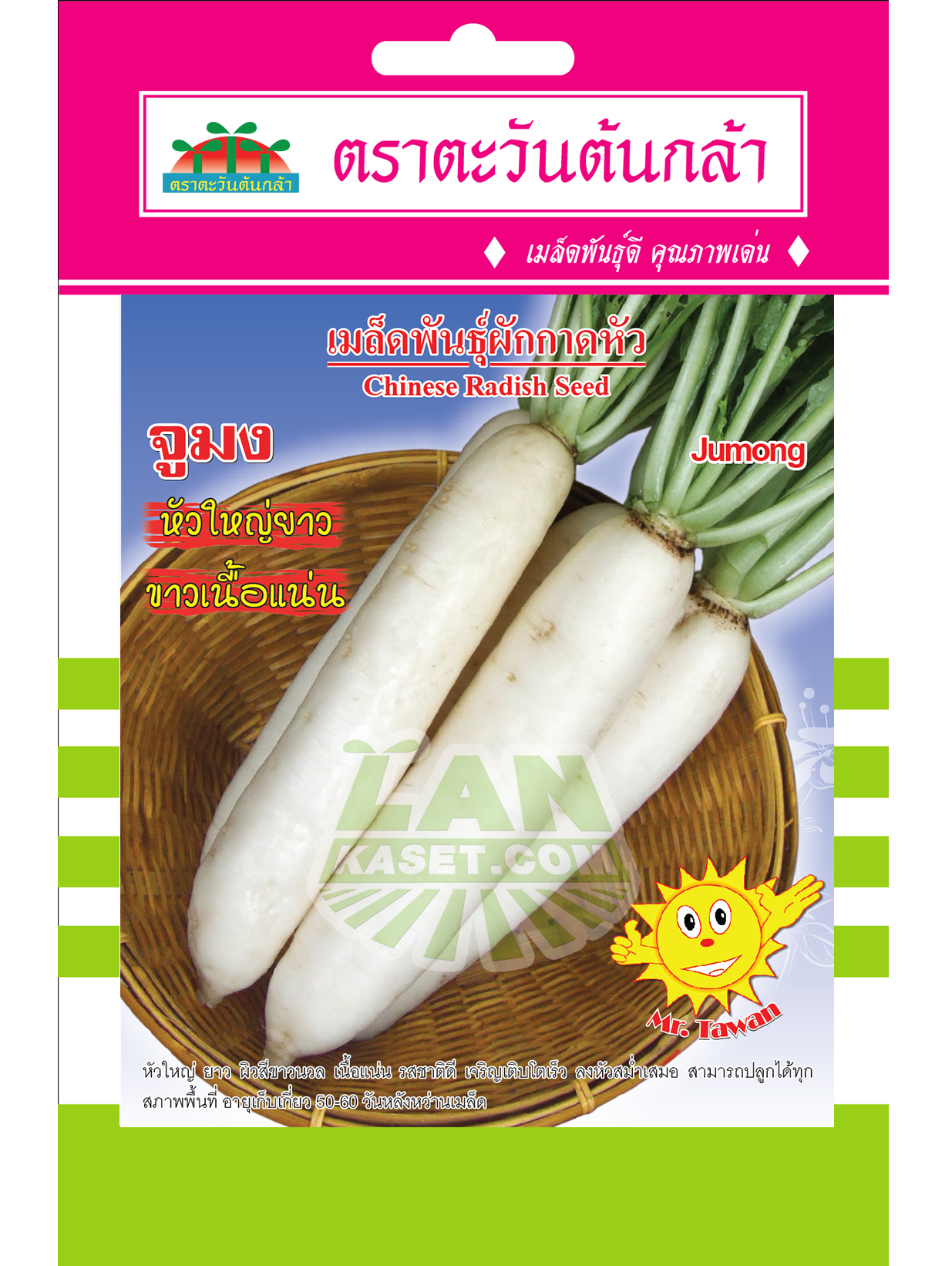 V27 เมล็ดพันธุ์ผักกาดหัว จูมง