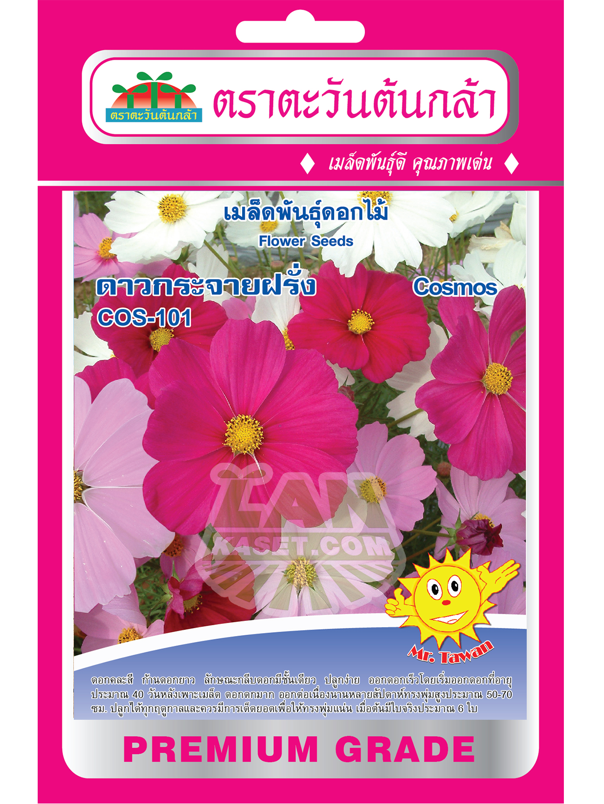 F9 เมล็ดพันธุ์ดอกไม้ ดาวกระจาย COS-101