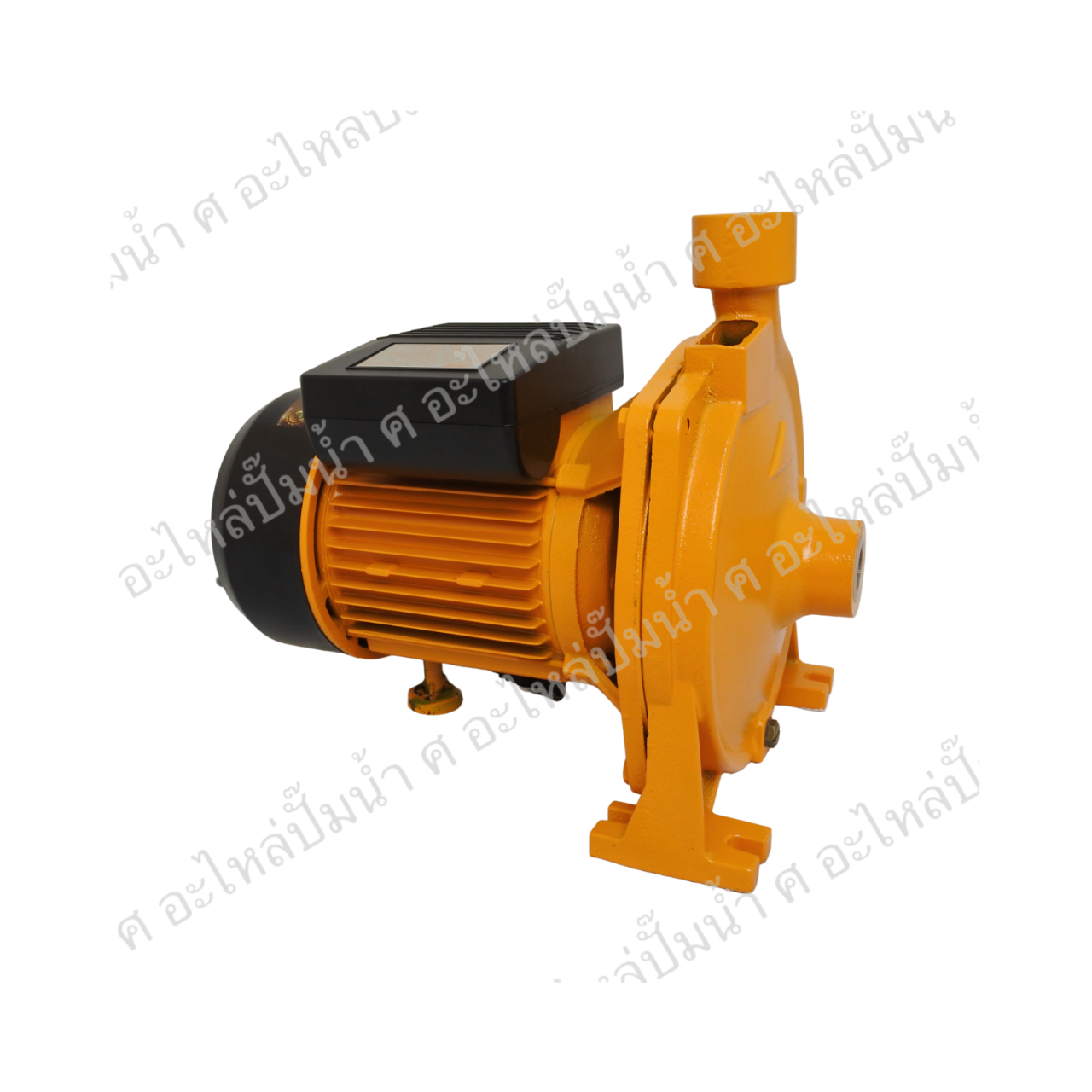 ปั๊มหอยโข่ง TASANI รุ่น SKSCM-200P / 1"x1.5HP