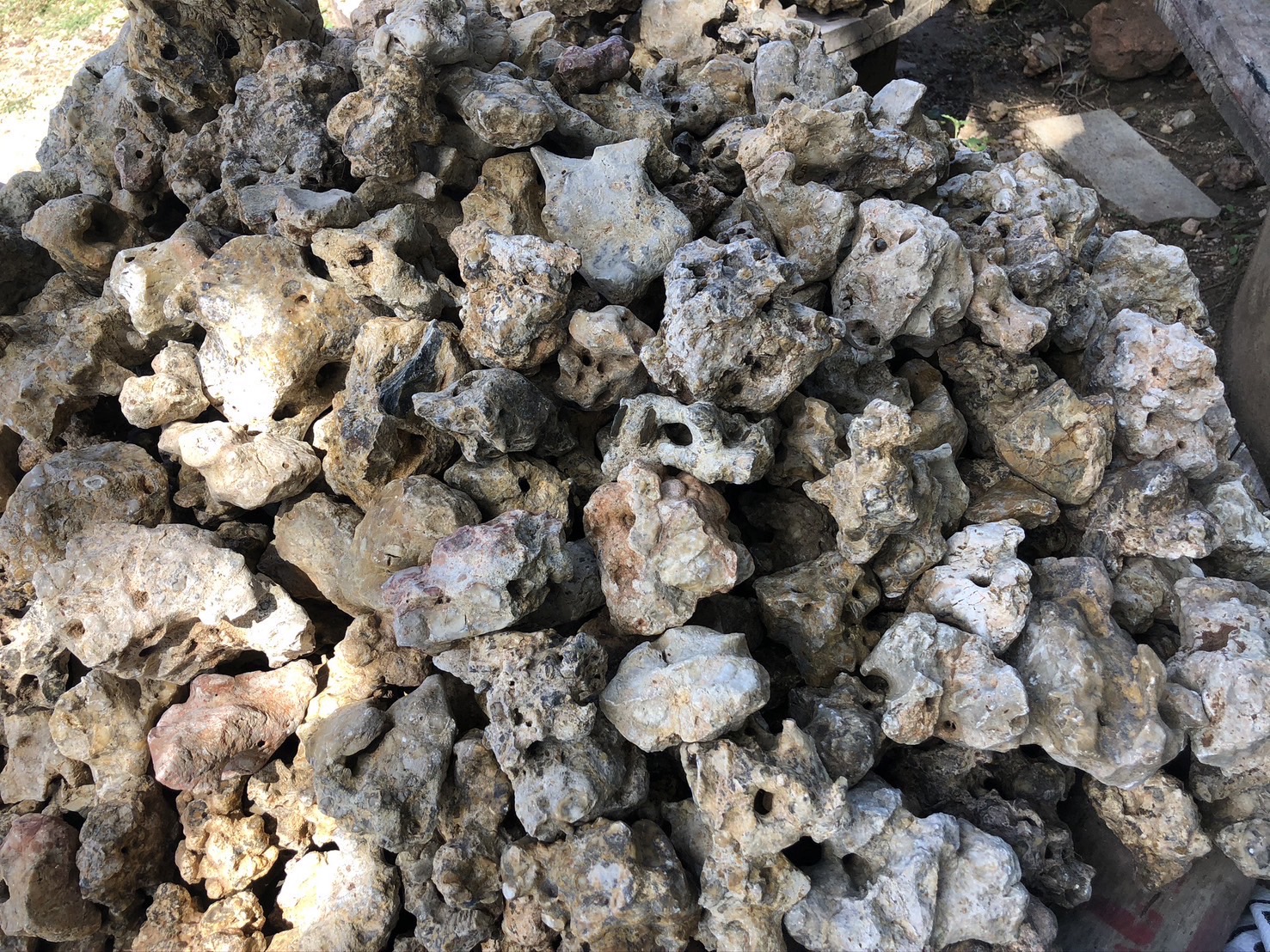 หินประการัง