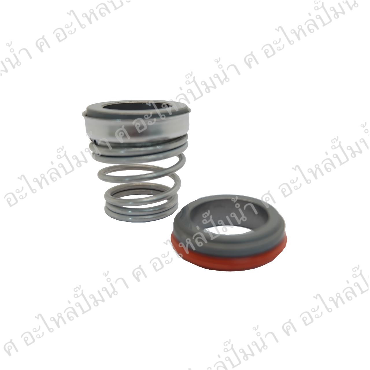 CM 155-20/30.9 (sic/sic/viton)