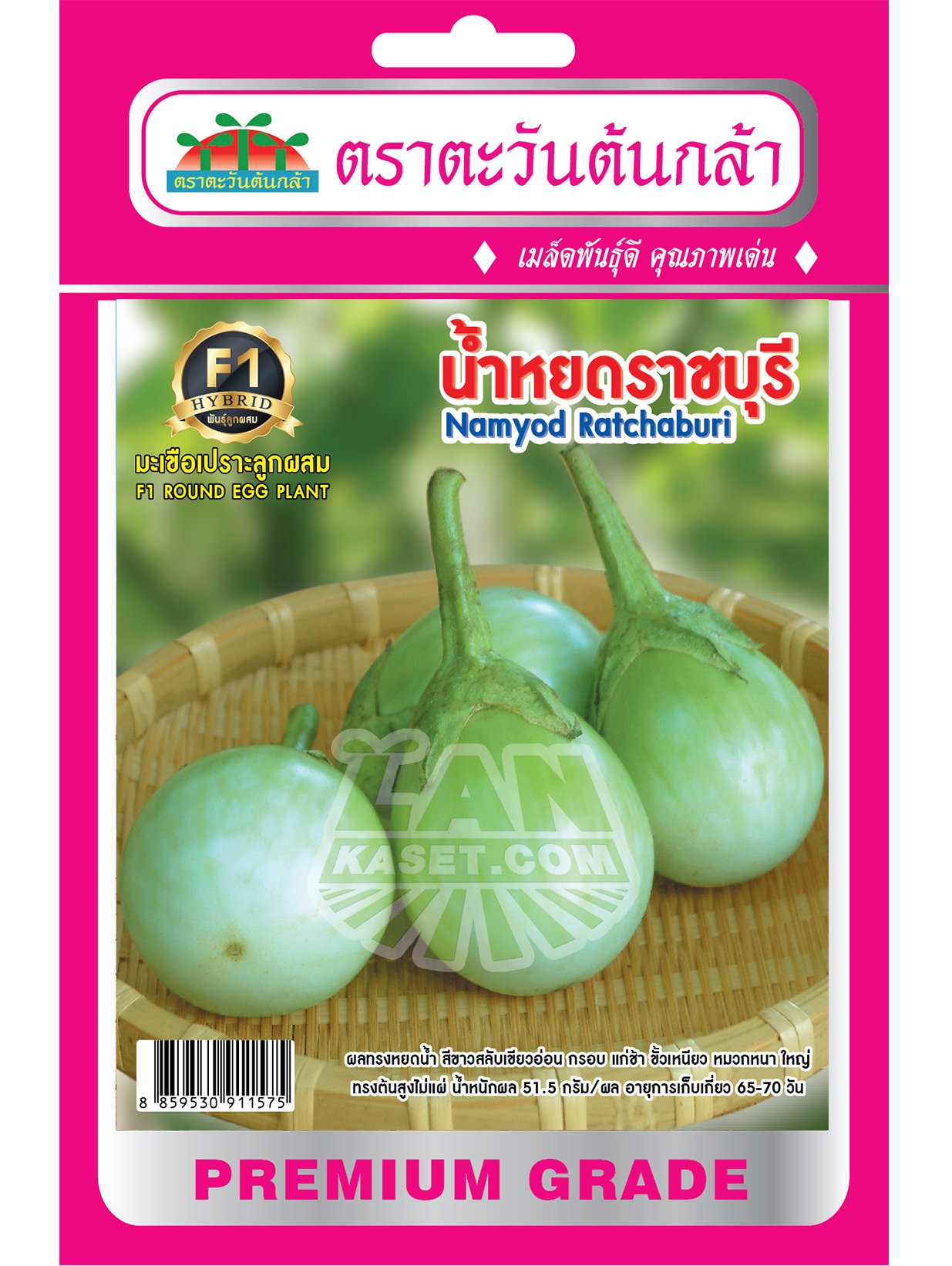 H10 มะเขือเปราะลูกผสม น้ำหยดราชบุรี