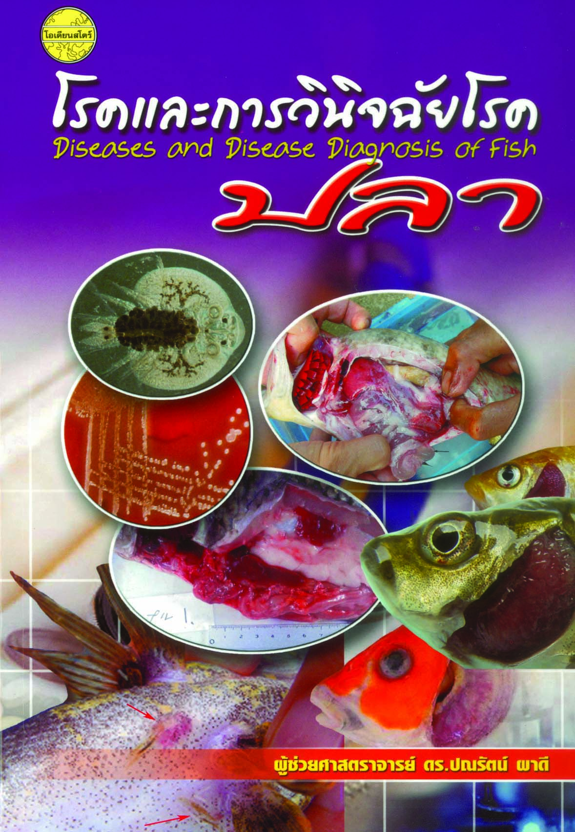 โรคและการวินิจฉัยโรคปลา