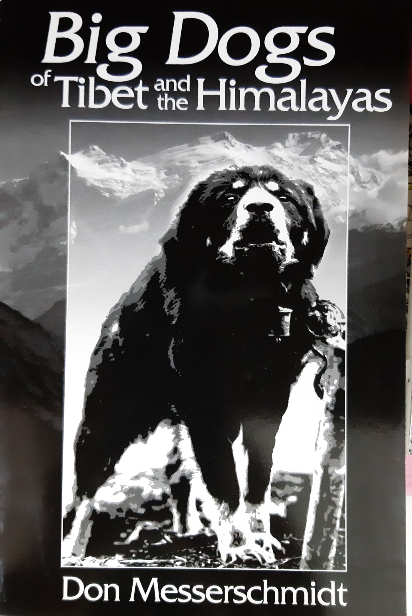 Big Dogs of Tibet and the Himalayas A Personal Journey
