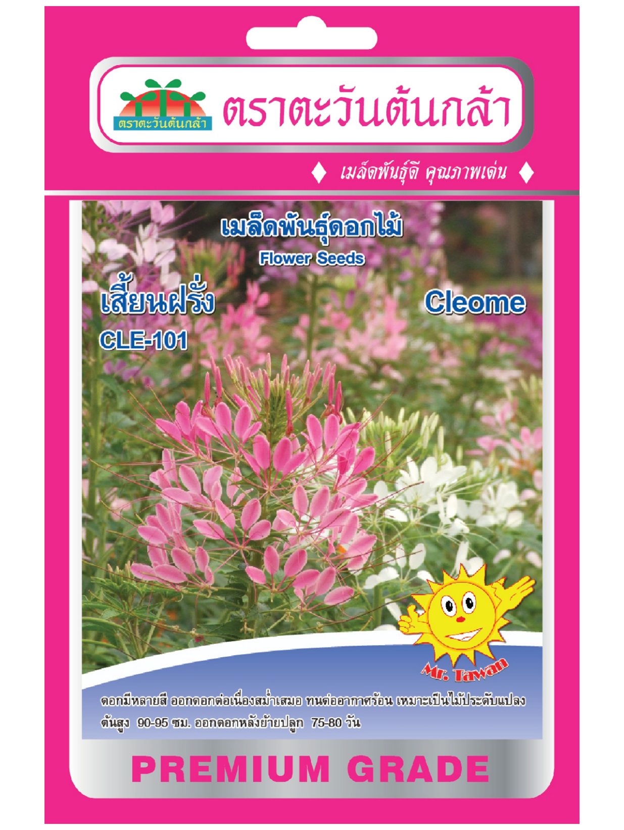 F26 เมล็ดพันธุ์ดอกไม้ เสี้ยนฝรั่ง