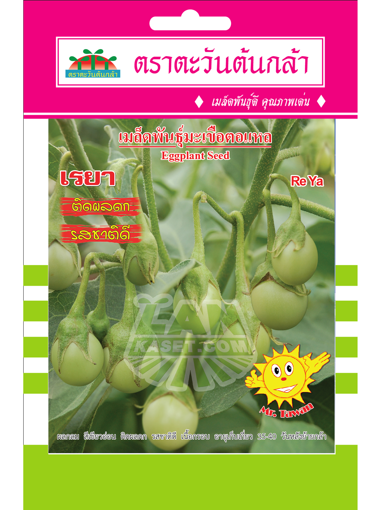 V64 เมล็ดพันธุ์มะเขือตอแหล เรยา