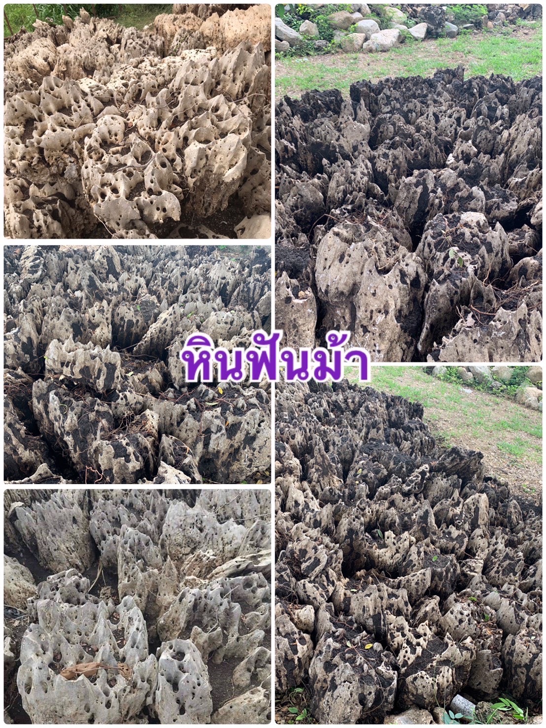 รวมรูปสินค้าร้านโชคศิลาทอง