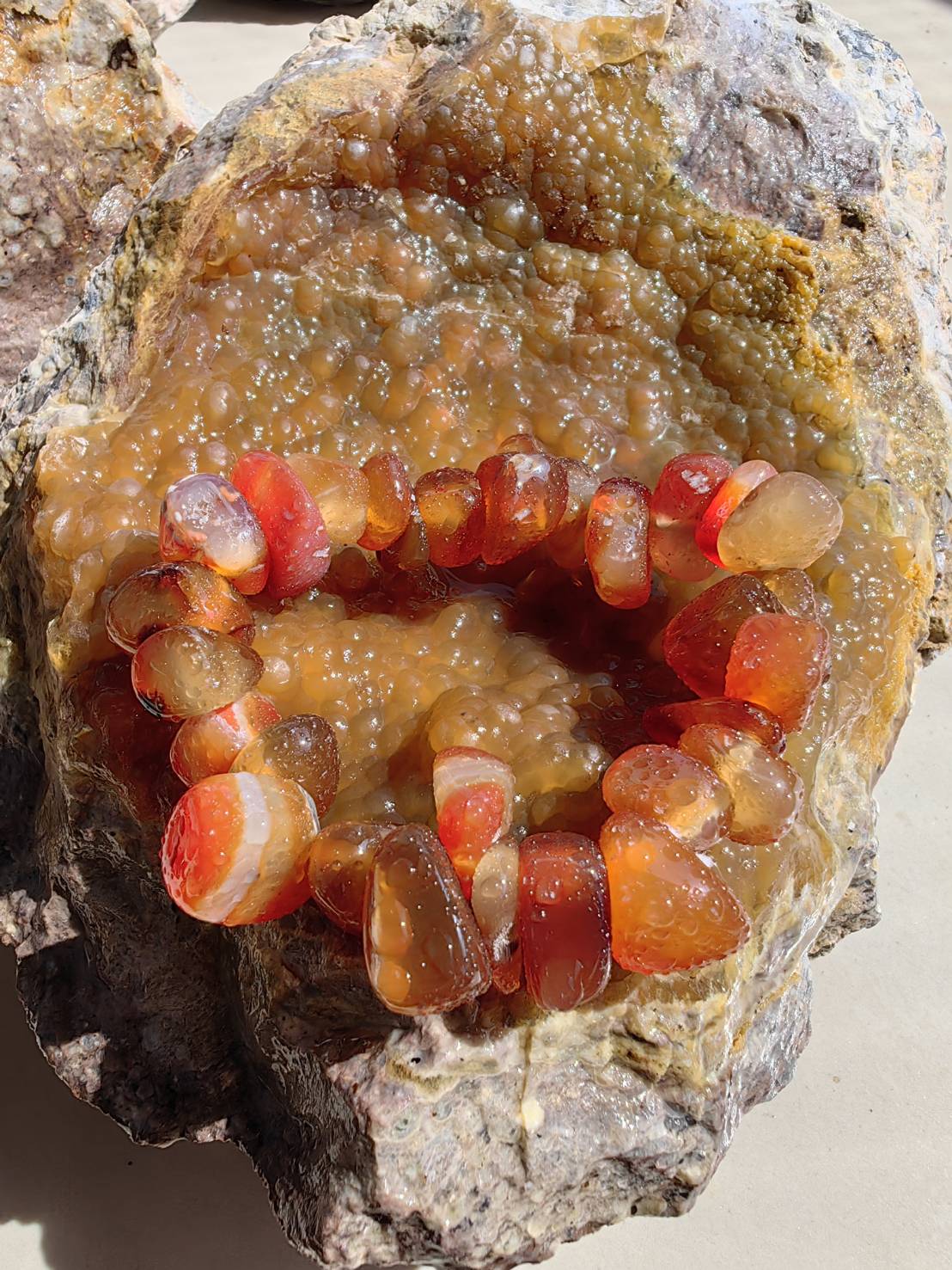 Carnelian Bracelets สร้อยข้อมือคาร์เนเลียน Size 16.50 cm. 330.50 ct